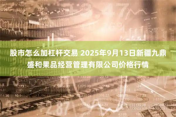 股市怎么加杠杆交易 2025年9月13日新疆九鼎盛和果品经营管理有限公司价格行情