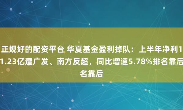 正规好的配资平台 华夏基金盈利掉队：上半年净利11.23亿遭广发、南方反超，同比增速5.78%排名靠后