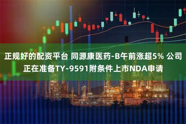 正规好的配资平台 同源康医药-B午前涨超5% 公司正在准备TY-9591附条件上市NDA申请